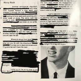 Green Day Platypus Lyrics Missing